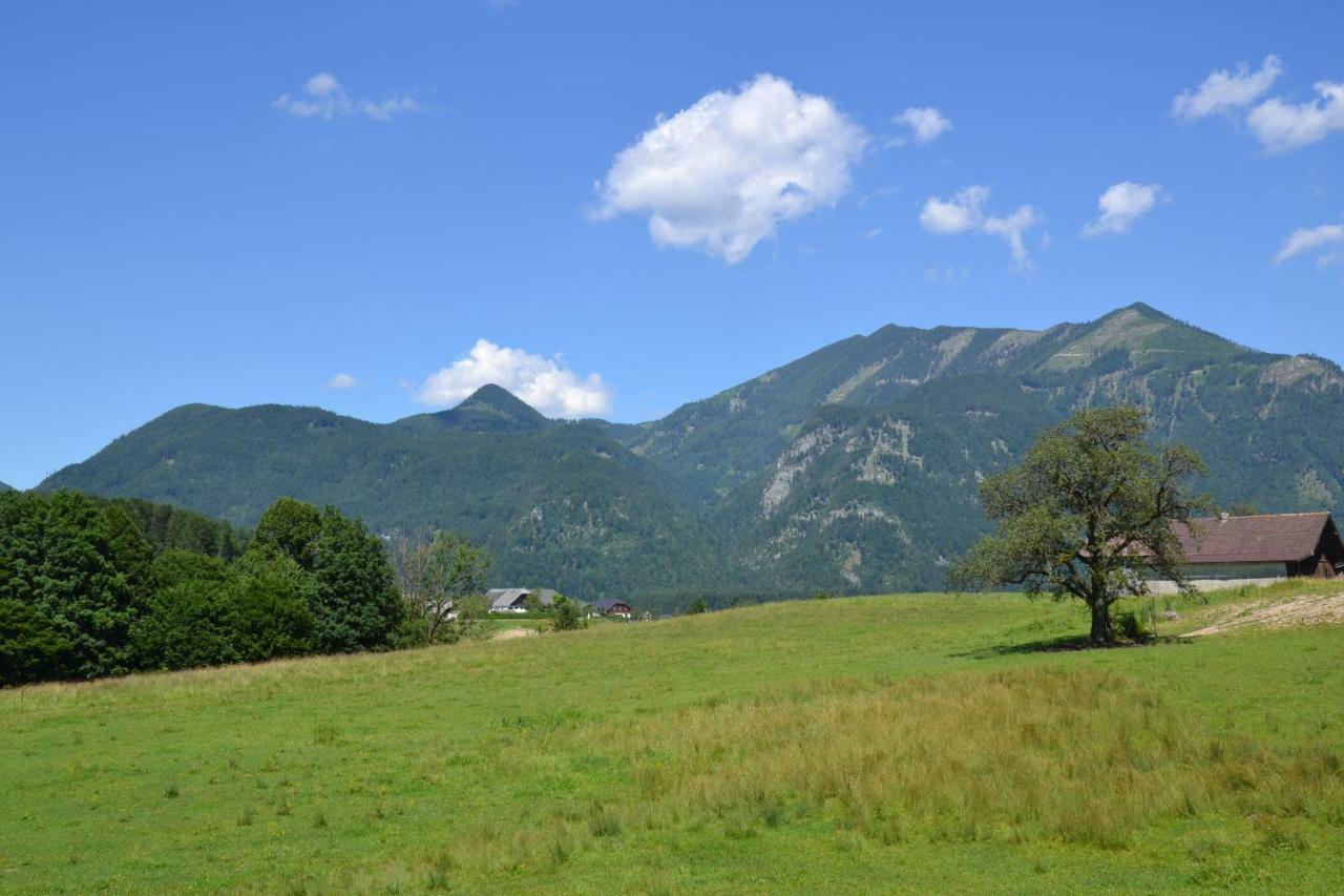 Coralie Apartment Strobl Bagian luar foto