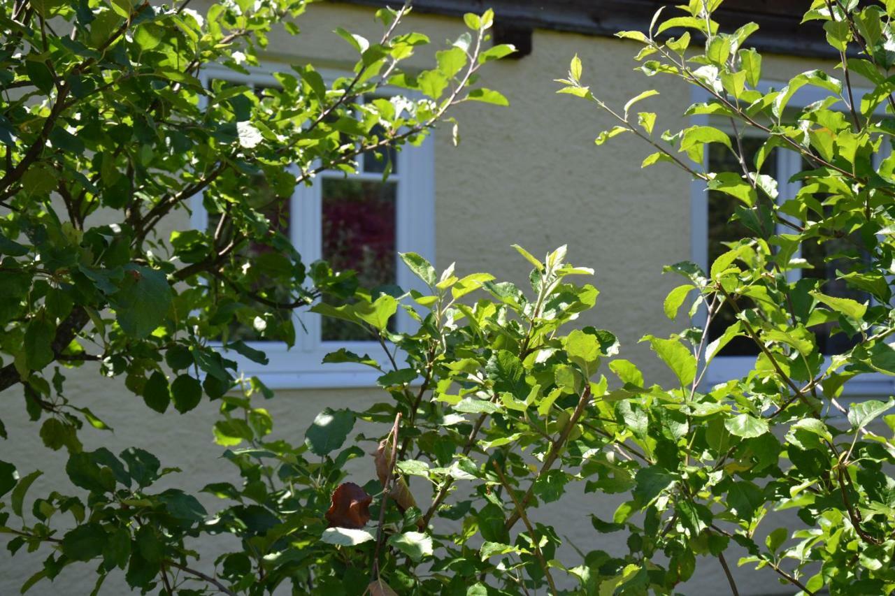 Coralie Apartment Strobl Bagian luar foto